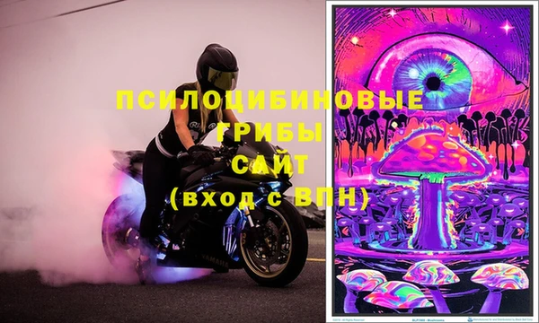 ECSTASY Абинск