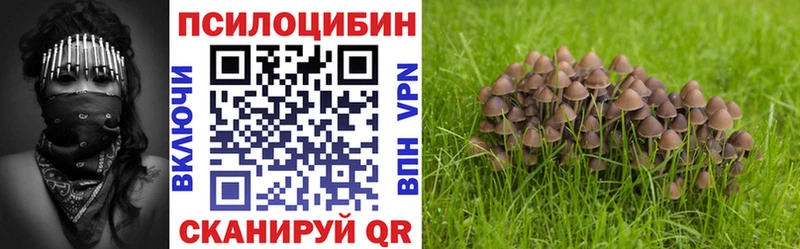 Псилоцибиновые грибы Psilocybine cubensis  Ивангород 